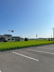 Heli